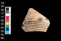 藏品(彩陶腹片)的圖片