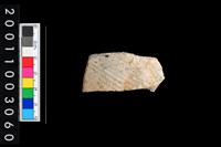 藏品(彩陶腹片)的圖片