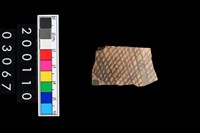 藏品(彩陶腹片)的圖片