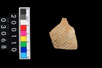 藏品(彩陶腹片)的圖片