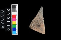 藏品(彩陶腹片)的圖片