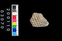 藏品(彩陶腹片)的圖片