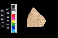 藏品(彩陶腹片)的圖片