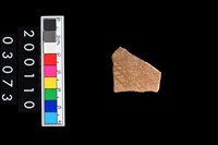 藏品(彩陶腹片)的圖片