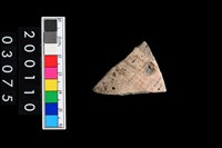 藏品(彩陶腹片)的圖片