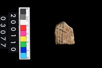 藏品(彩陶腹片)的圖片