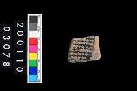 藏品(彩陶腹片)的圖片