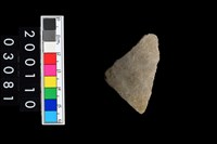 藏品(彩陶腹片)的圖片