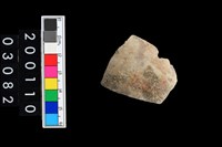 藏品(彩陶腹片)的圖片