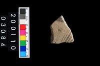 藏品(彩陶腹片)的圖片