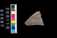 藏品(彩陶腹片)的圖片