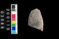 藏品(彩陶腹片)的圖片