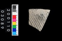 藏品(彩陶腹片)的圖片