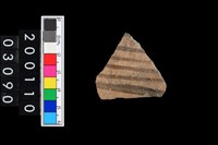 藏品(彩陶腹片)的圖片