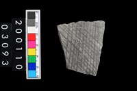 藏品(彩陶腹片)的圖片