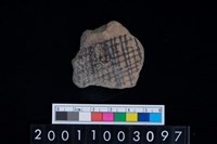 藏品(彩陶腹片)的圖片