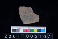 藏品(彩陶腹片)的圖片