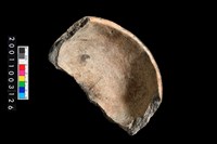 藏品(缽形蓋)的圖片