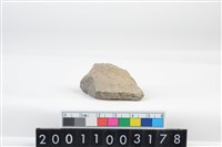 藏品(盆形蓋)的圖片