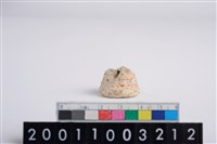 藏品(蓋把)的圖片