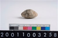 藏品(陶紡輪)的圖片