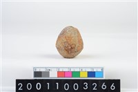 藏品(陶紡輪)的圖片