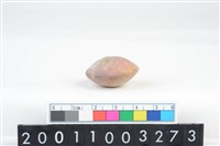 藏品(陶紡輪)的圖片