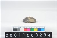 藏品(陶紡輪)的圖片