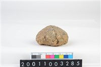 藏品(陶紡輪)的圖片