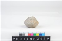 藏品(陶紡輪)的圖片