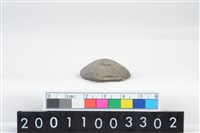 藏品(陶紡輪)的圖片