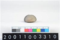 藏品(陶紡輪)的圖片