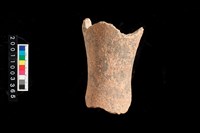 藏品(陶頸)的圖片