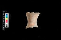 藏品(陶頸)的圖片