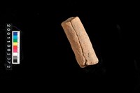 藏品(不明陶器)的圖片