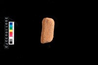 藏品(不明陶器)的圖片