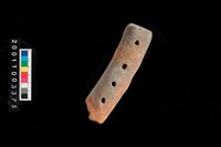 藏品(不明陶器)的圖片