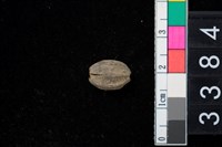 藏品(楝科種子)的圖片