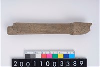 藏品(角叉)的圖片