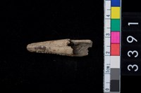 藏品(骨尖器)的圖片