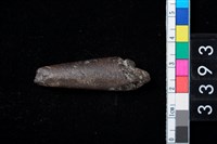 藏品(骨尖器)的圖片