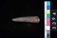 藏品(骨尖器)的圖片