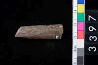 藏品(骨尖器)的圖片