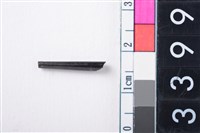 藏品(骨尖器)的圖片