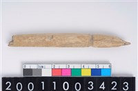 藏品(兩端尖器)的圖片