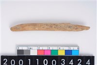 藏品(兩端尖器)的圖片