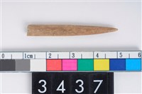 藏品(兩端尖器)的圖片