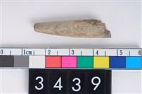 藏品(兩端尖器)的圖片