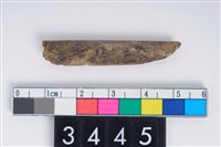 藏品(兩端尖器)的圖片