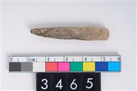 藏品(兩端尖器)的圖片